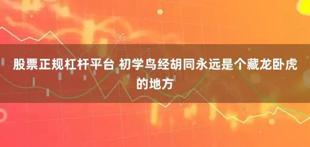 股票正规杠杆平台 初学鸟经胡同永远是个藏龙卧虎的地方