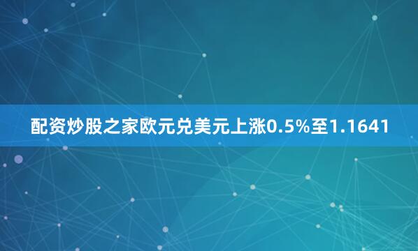 配资炒股之家欧元兑美元上涨0.5%至1.1641