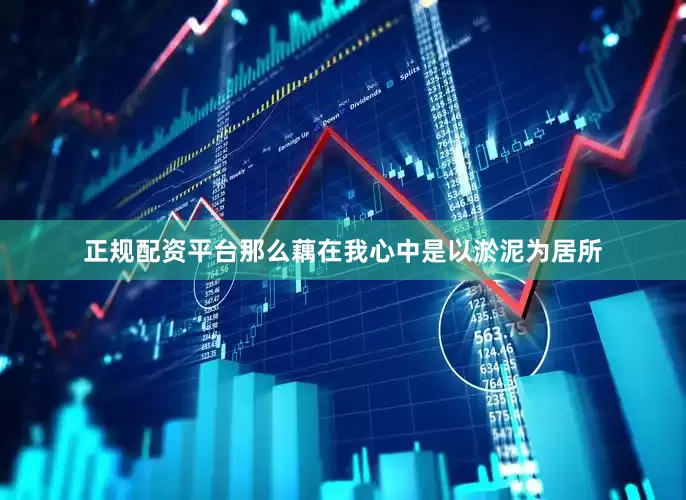 正规配资平台那么藕在我心中是以淤泥为居所