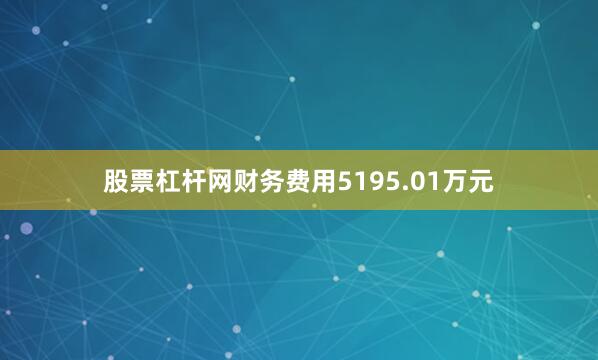 股票杠杆网财务费用5195.01万元