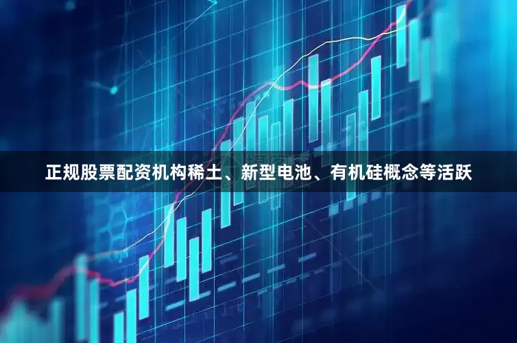 正规股票配资机构稀土、新型电池、有机硅概念等活跃