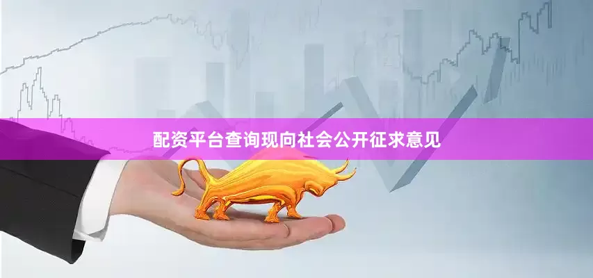 配资平台查询现向社会公开征求意见