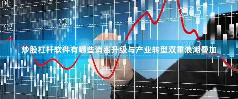 炒股杠杆软件有哪些消费升级与产业转型双重浪潮叠加