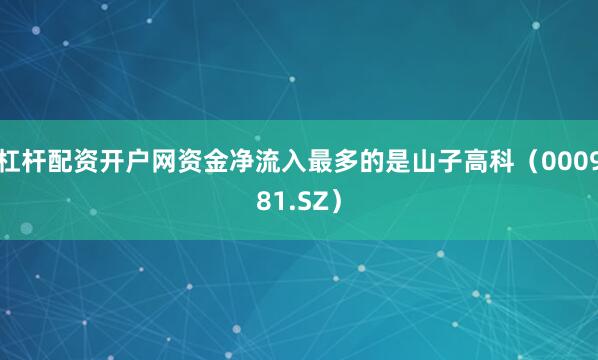 杠杆配资开户网资金净流入最多的是山子高科（000981.SZ）