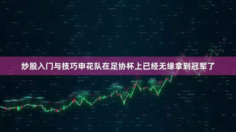 炒股入门与技巧申花队在足协杯上已经无缘拿到冠军了